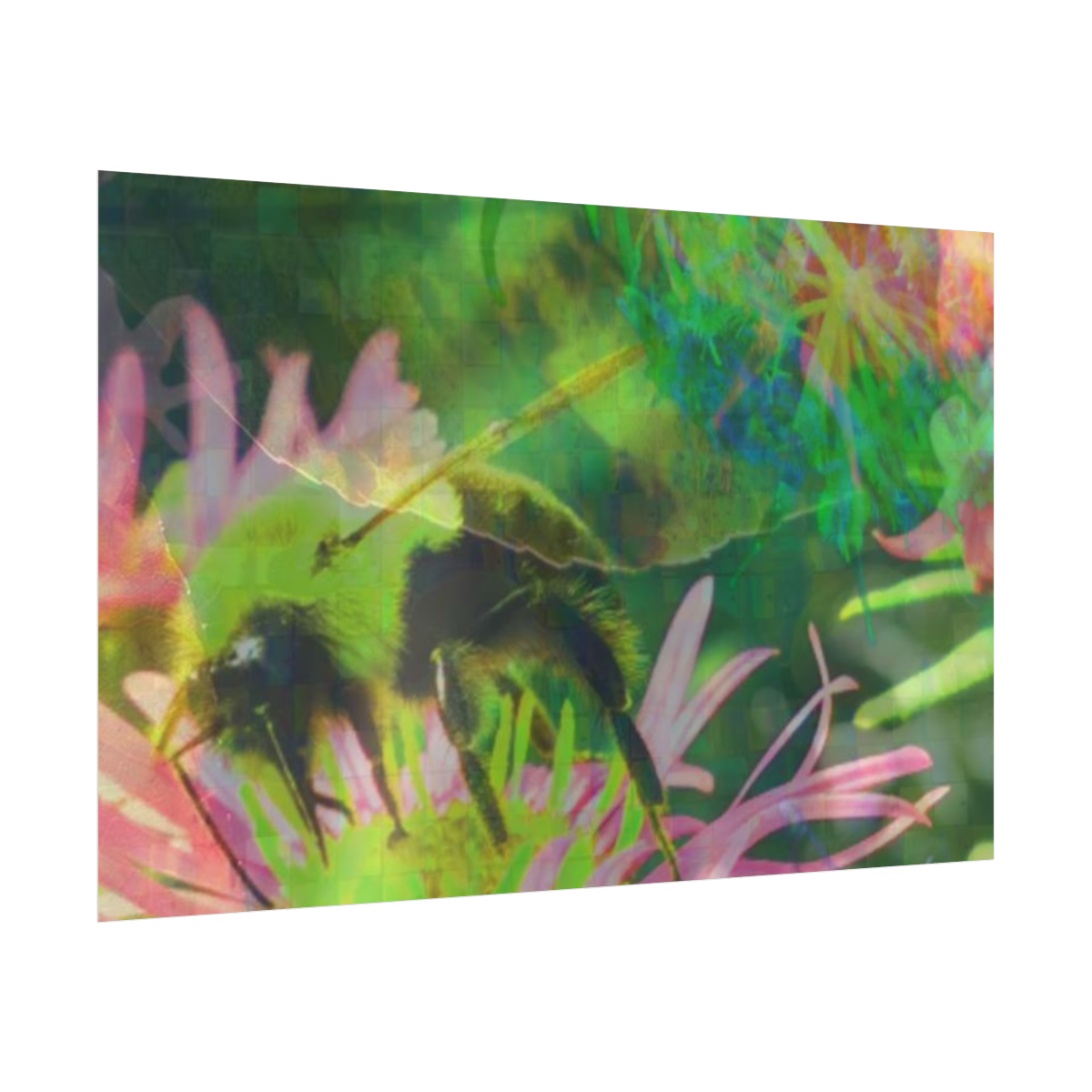 Floral - Bee - Image 18