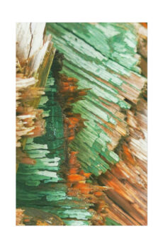 Digitally Surreal - Green Poster