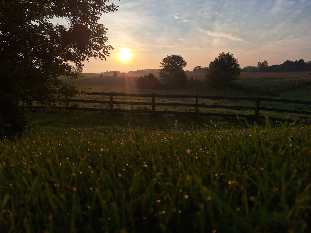 Morning Sunrise On The Farm